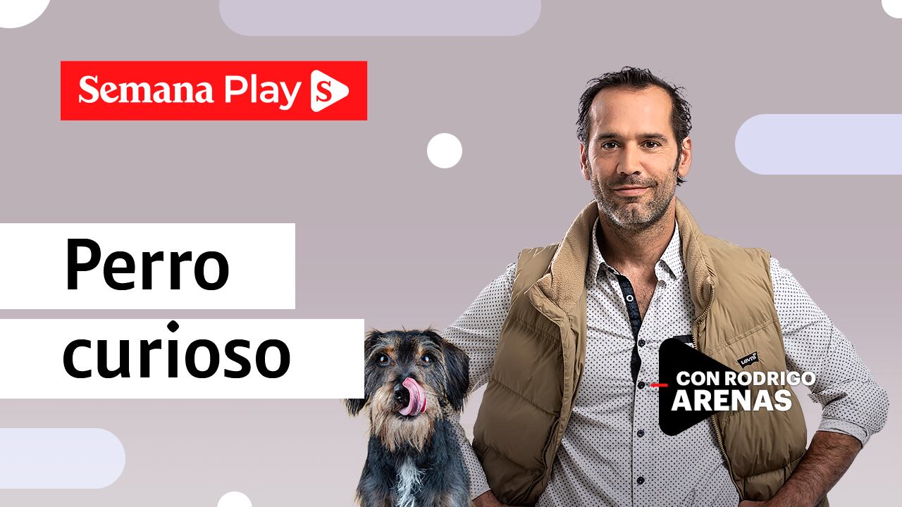 Perro curioso | Rodrigo Arenas en EduCANdo Manadas