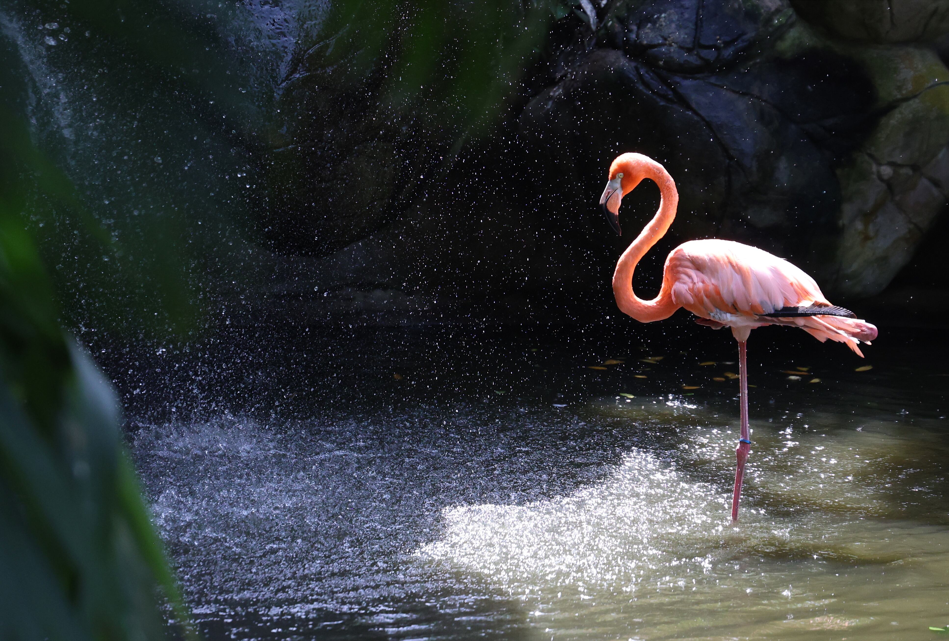 Especial Colombia Biodiversa - Mejor Colombia