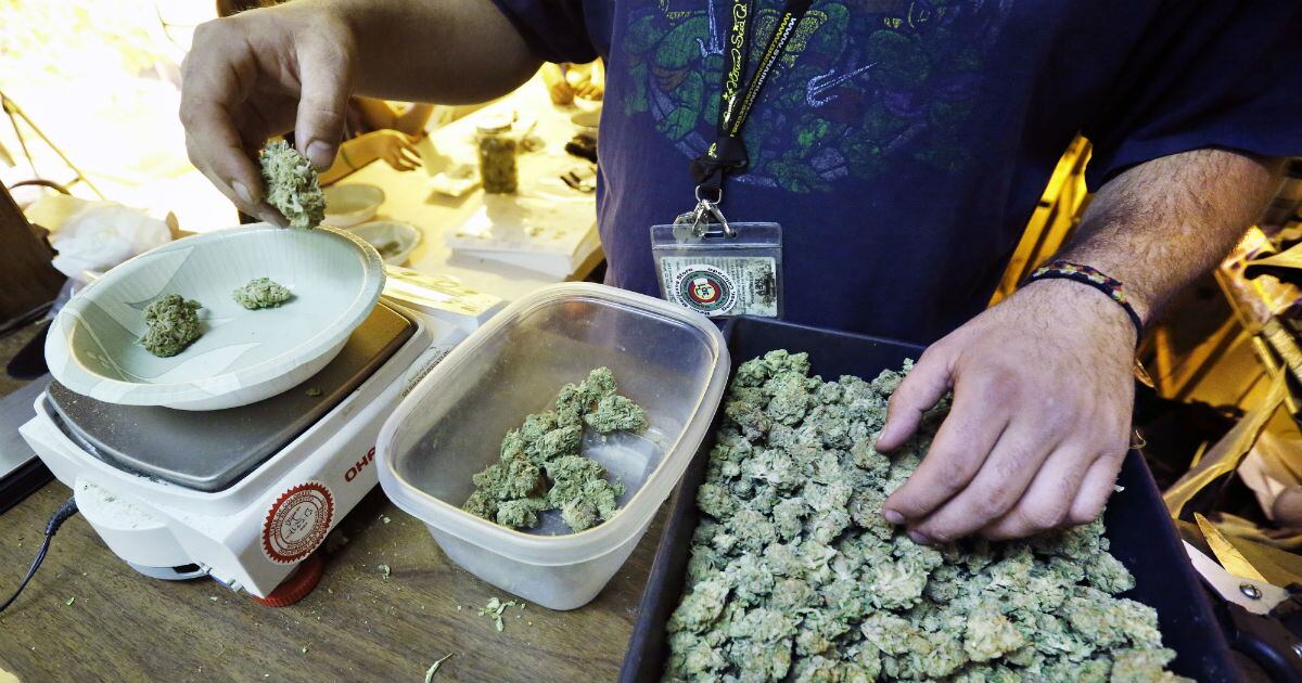 En algunos estados de Estados Unidos la marihuana es legal.