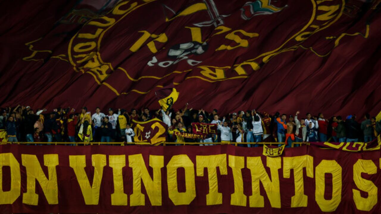 Hinchada del Deportes Tolima.