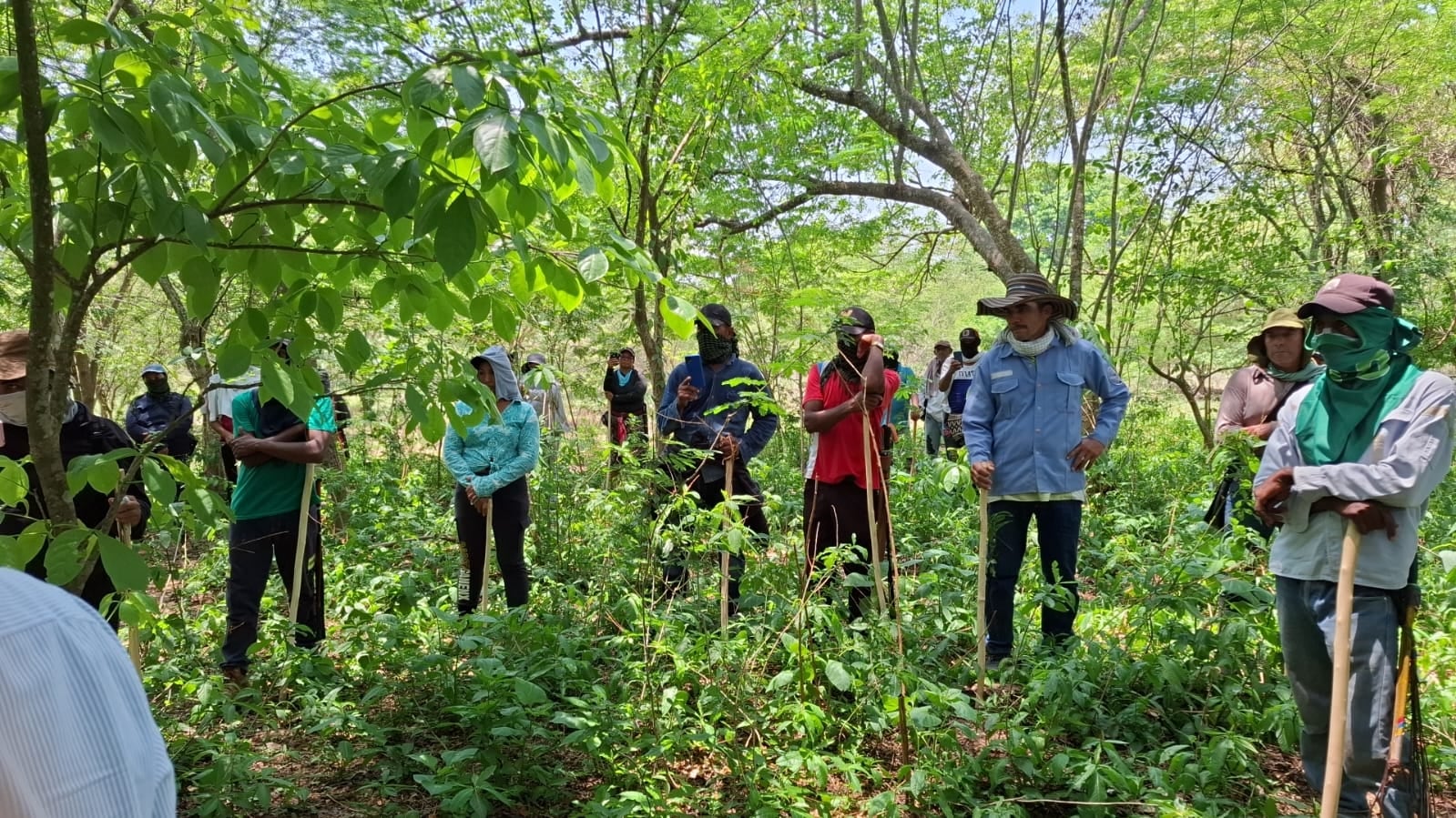 Un grupo de aproximadamente 80 personas invadió una finca en Codazzi, Cesar.
