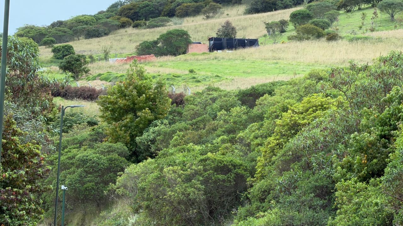 Aprueban construcción en reserva forestal de Chía pese a cuestionamientos ambientales.