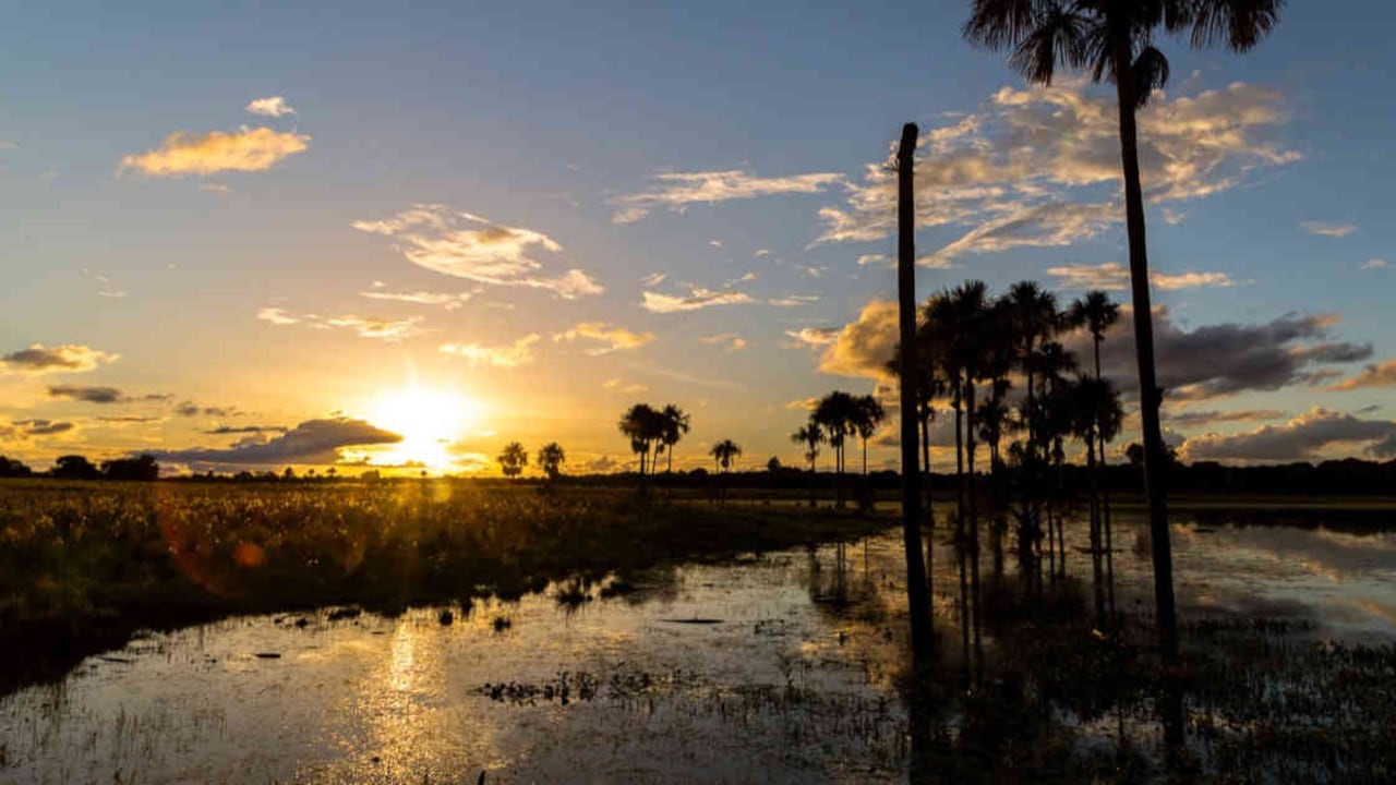 El área hidrográfica del Orinoco contiene la mayor extensión de territorios anfibios y humedales en Colombia. Foto: Felipe Villegas (Instituto Humboldt).