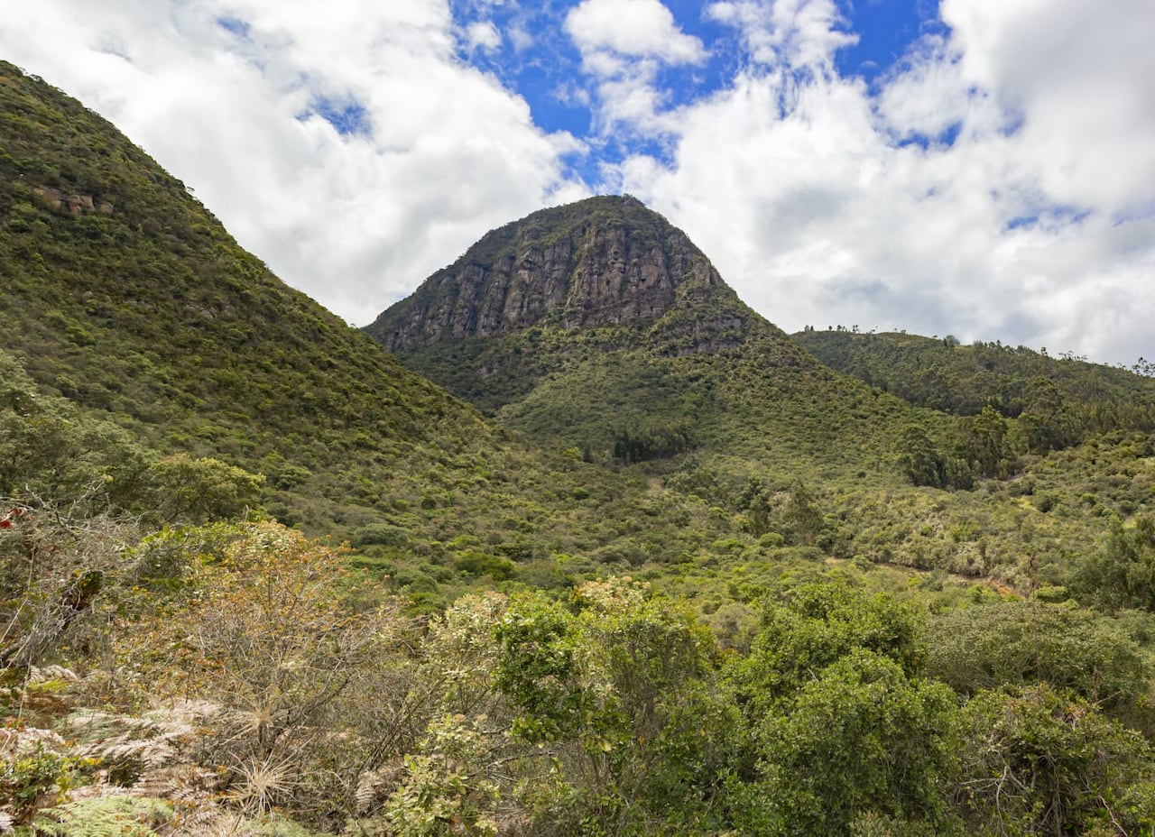 Actualmente, no está permitido el ingreso.