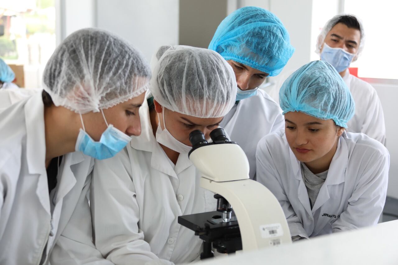 Los cursos ofertados con virtuales