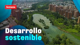 IX Cumbre de Sostenibilidad: Transición para el Desarrollo