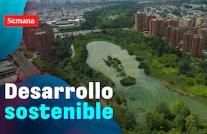 IX Cumbre de Sostenibilidad: Transición para el Desarrollo