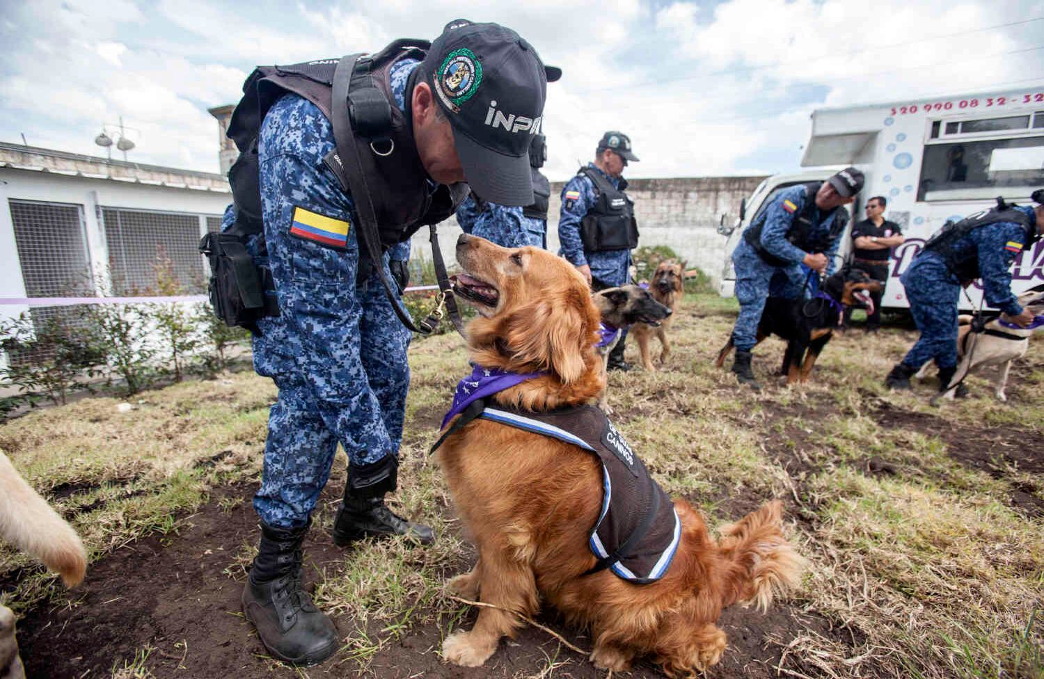 El proyecto contará con personal altamente calificado que se encargará de capacitar a las internas y brindarles herramientas para que se reincorporen a la sociedad de una forma efectiva y digna, evitando así la reincidencia. Foto: Diana Rey Melo