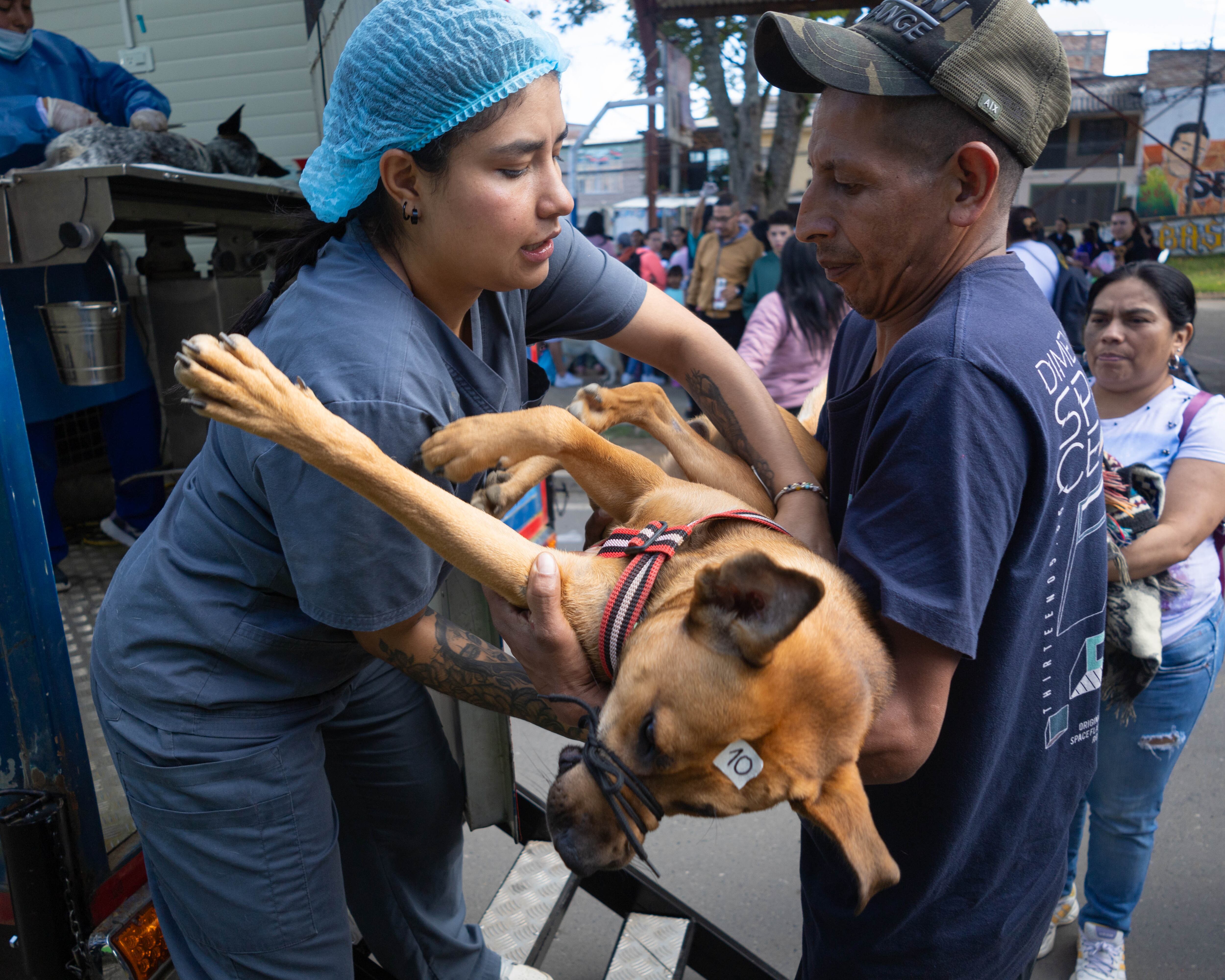 La iniciativa está dirigida especialmente a los hogares que más lo necesitan y que desean brindar una mejor calidad de vida a sus mascotas, indicó la alcaldía de Popayán.