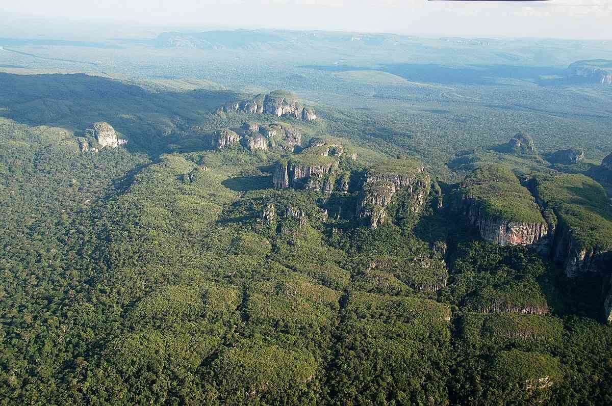 El Parque Nacional Natural Serranía de Chiribiquete, es uno de los más deforestados de la Amazonia colombiana Foto: Archivo Semana