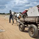 Presencia de carretilleros en varios puntos de Cali