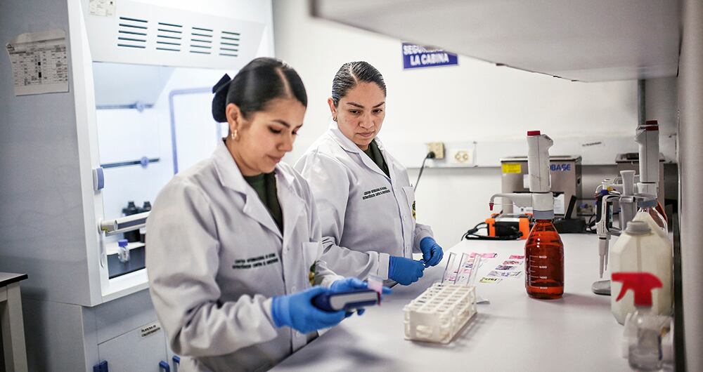 El fentanilo causó, solamente en 2022, alrededor de 10.000 muertes por sobredosis. La sustancia es 100 veces más potente que la heroína. 