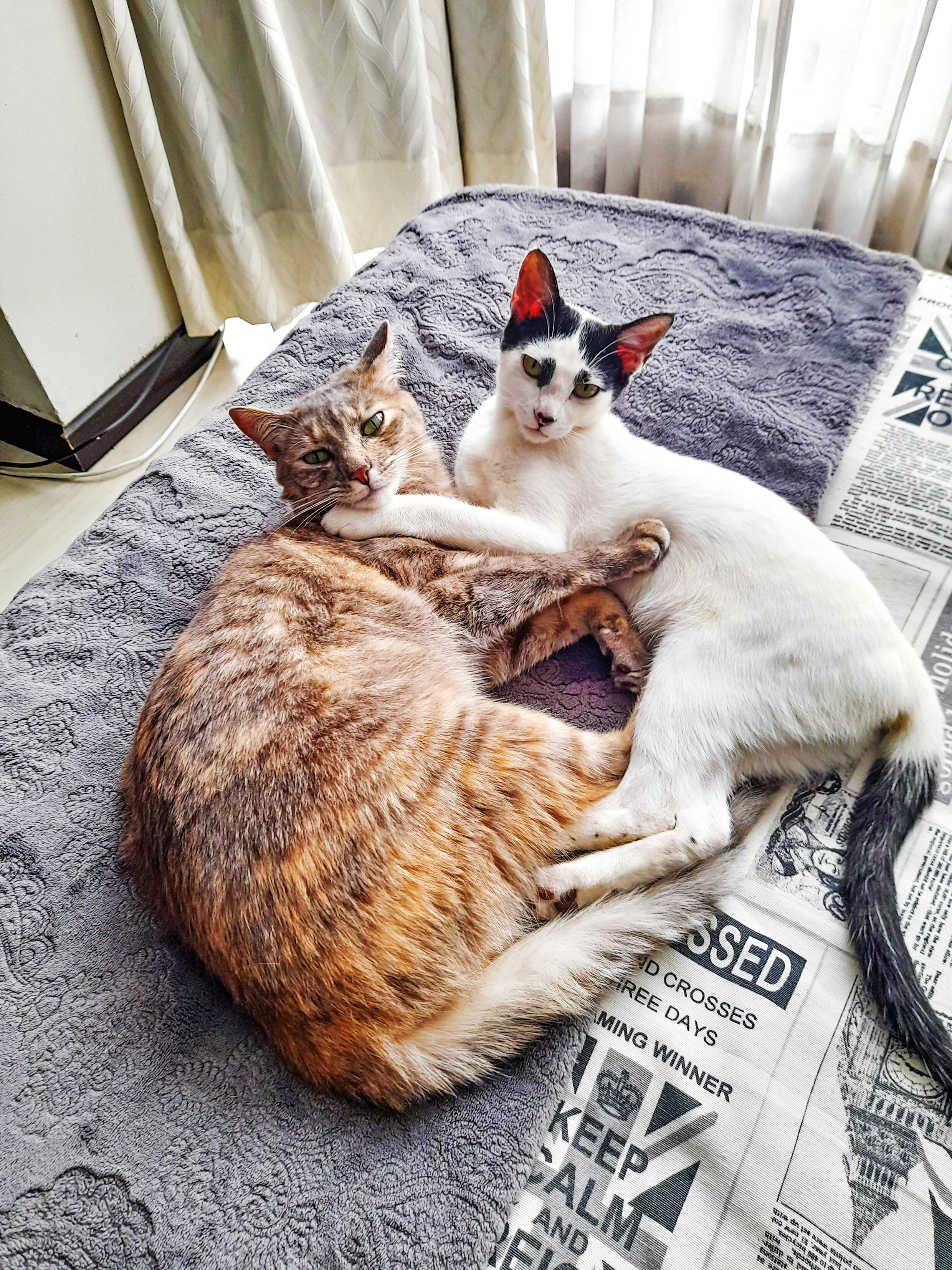 Héroes en tiempos difíciles