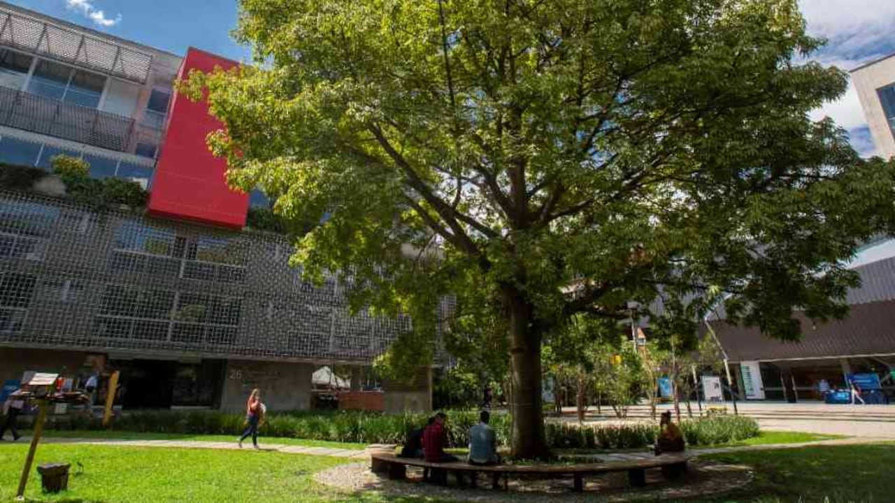Crear territorios conscientes desde la academia
