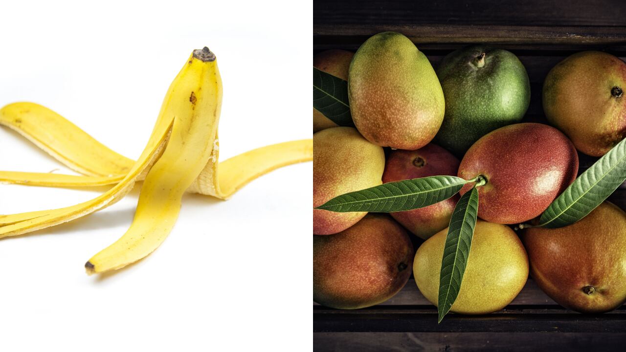 banano, plátano, mango