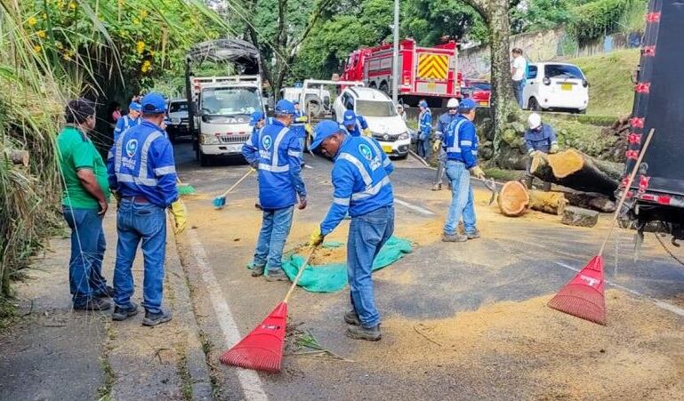 Sobre la avenida Guabinal cayó un árbol de gran tamaño