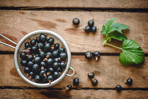 El Grosellero negro se caracteriza por combatir la inflamación y sirve como diurético, además la infusión se puede preparar con sus hojas, yemas y frutos.