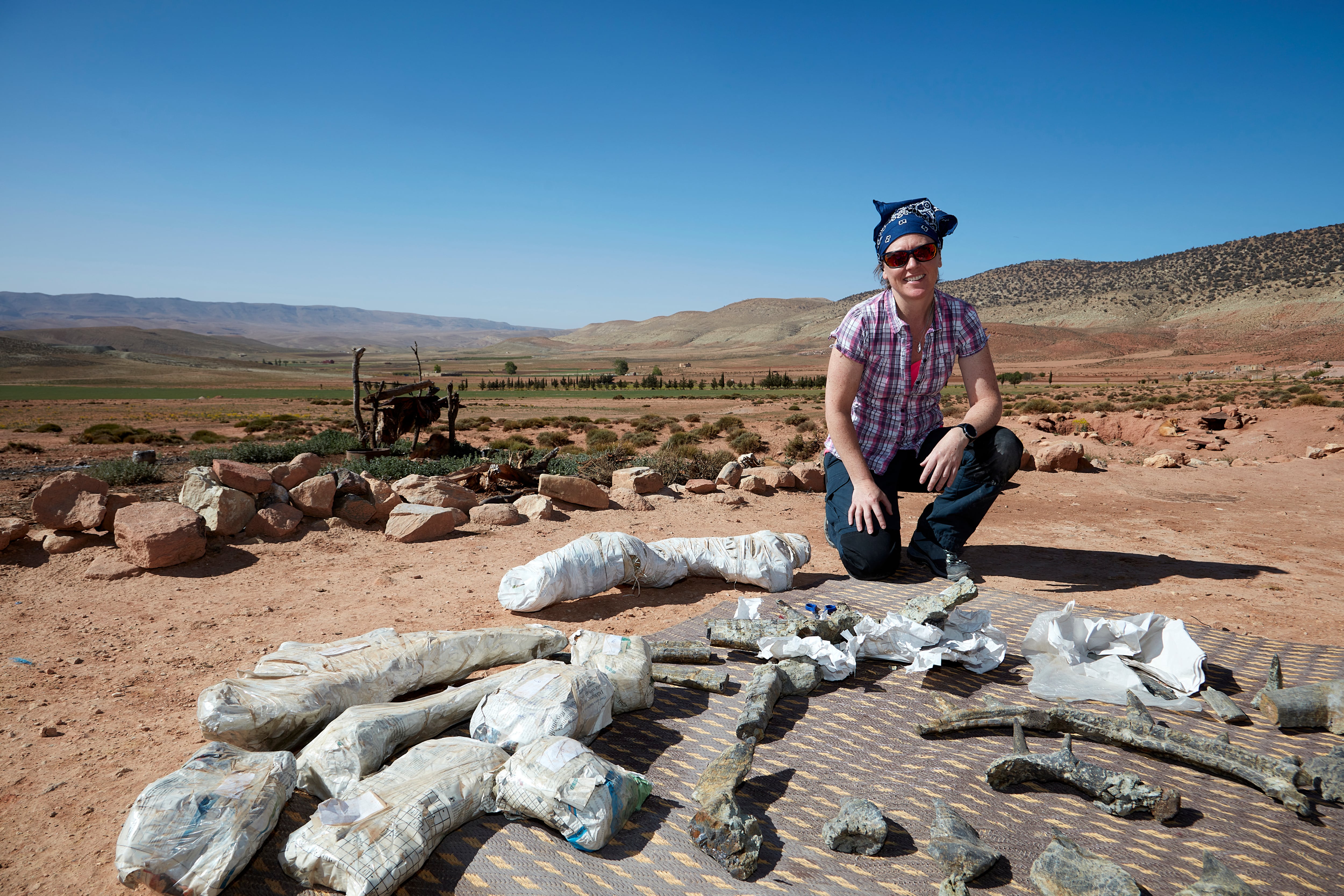 Fósiles completos describen al Spicomellus, con púas de un metro y una poderosa cola.