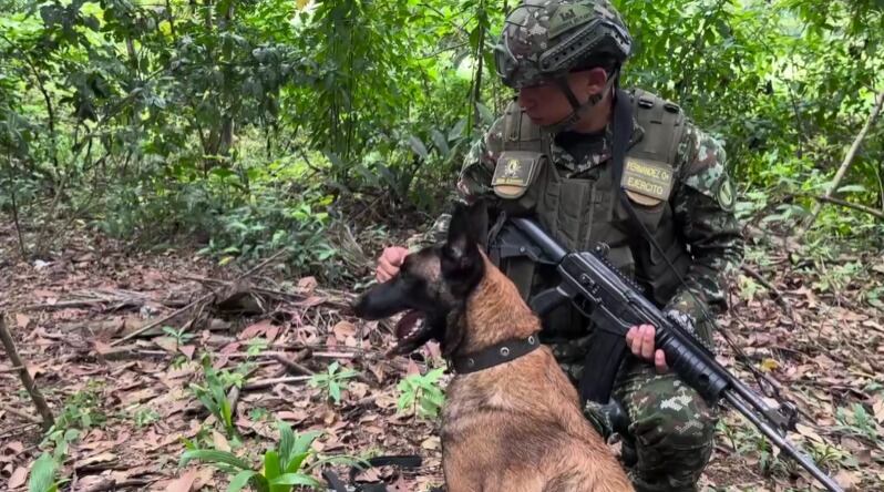 Estos artefactos fueron desactivados y destruidos gracias a un minucioso trabajo técnico y controlado..