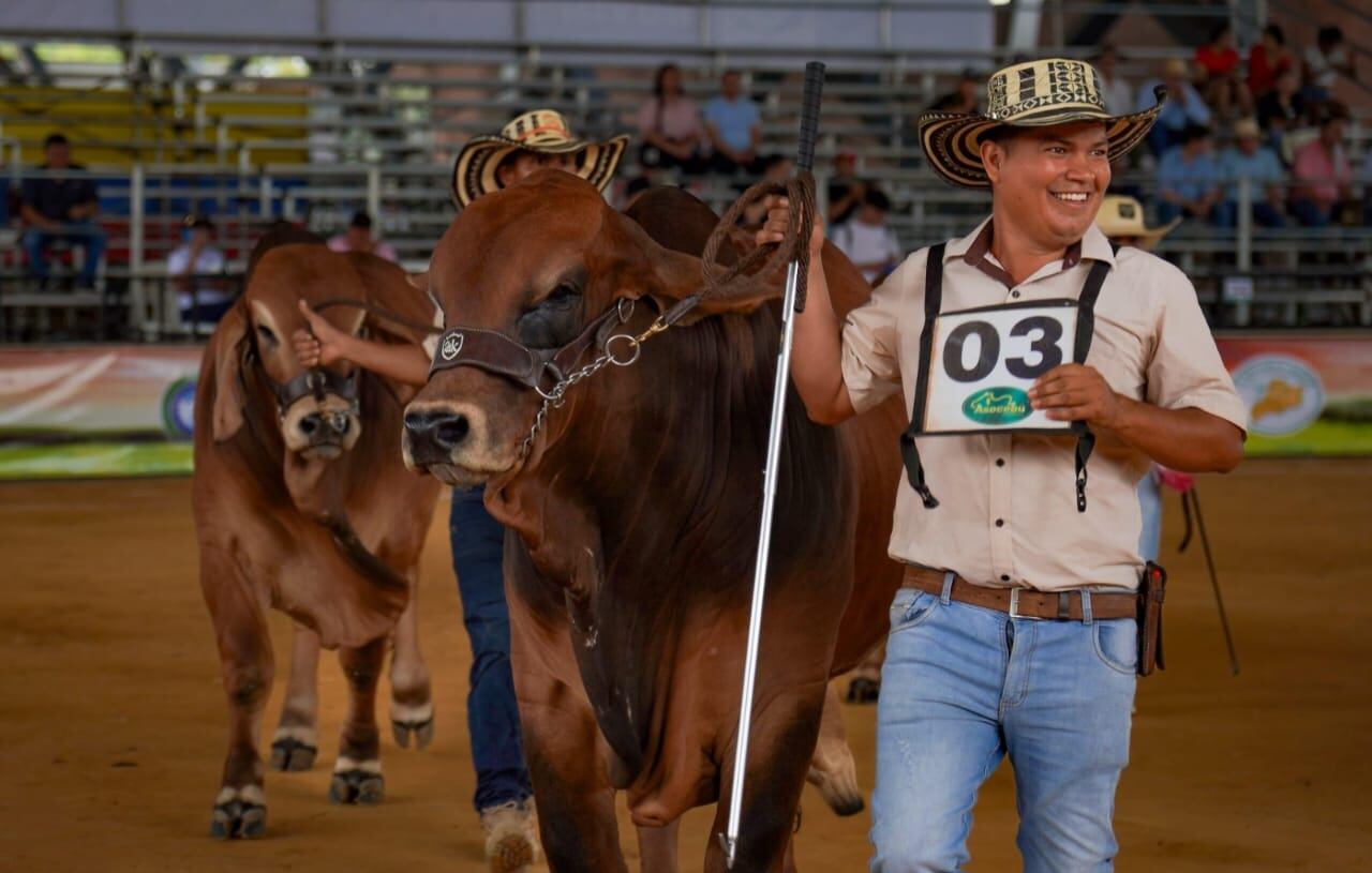 Cortesía Gobernación del Meta.