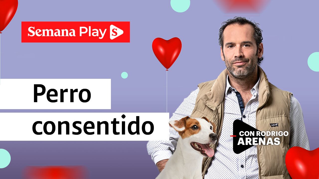 Perro consentido - Rodrigo Arenas en EduCANdo Manadas
