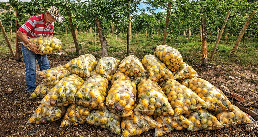 La distribución de alimentos en el país será tema a debatir.