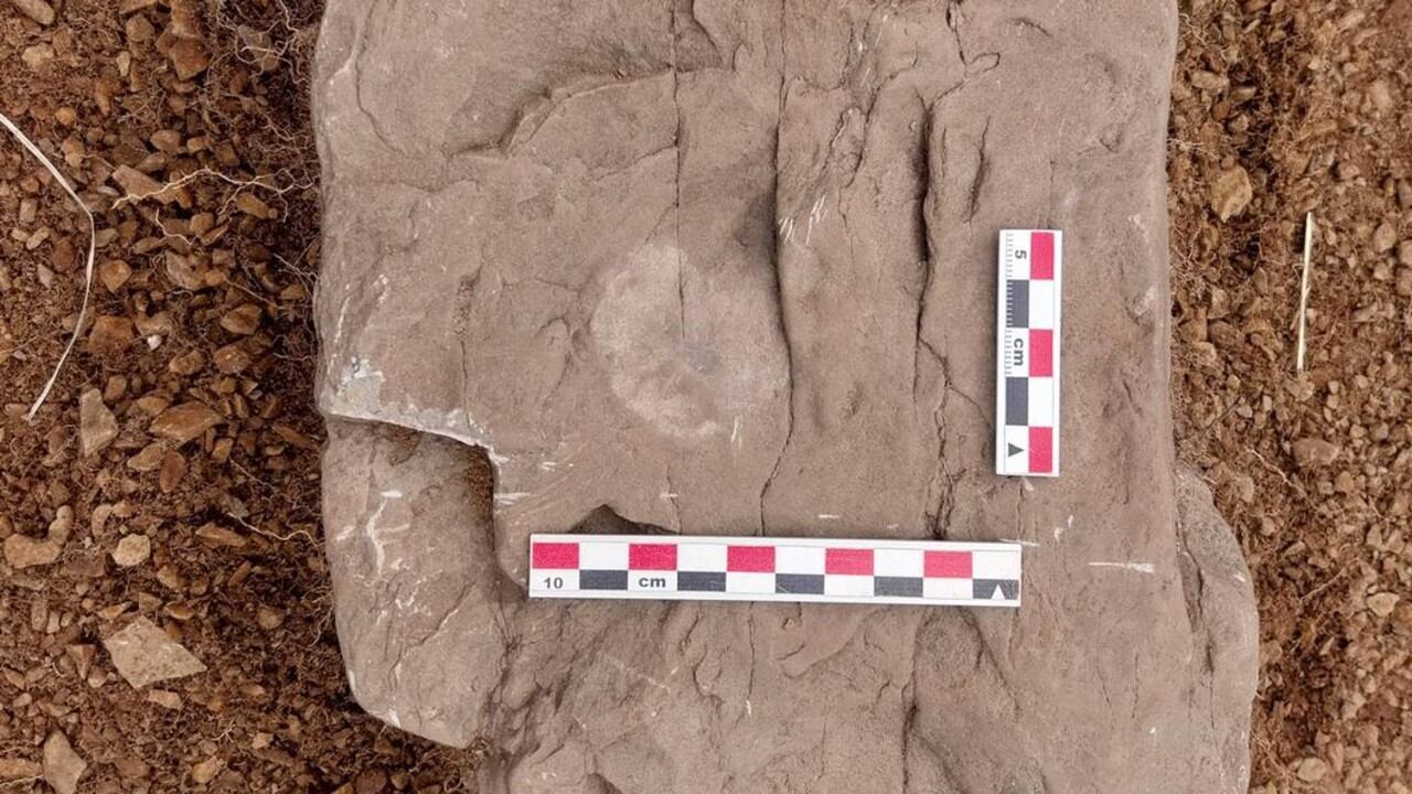 La moneda apareció sobre una piedra de los cimientos de la iglesia en ruinas de la colonia Rey Don Felipe.