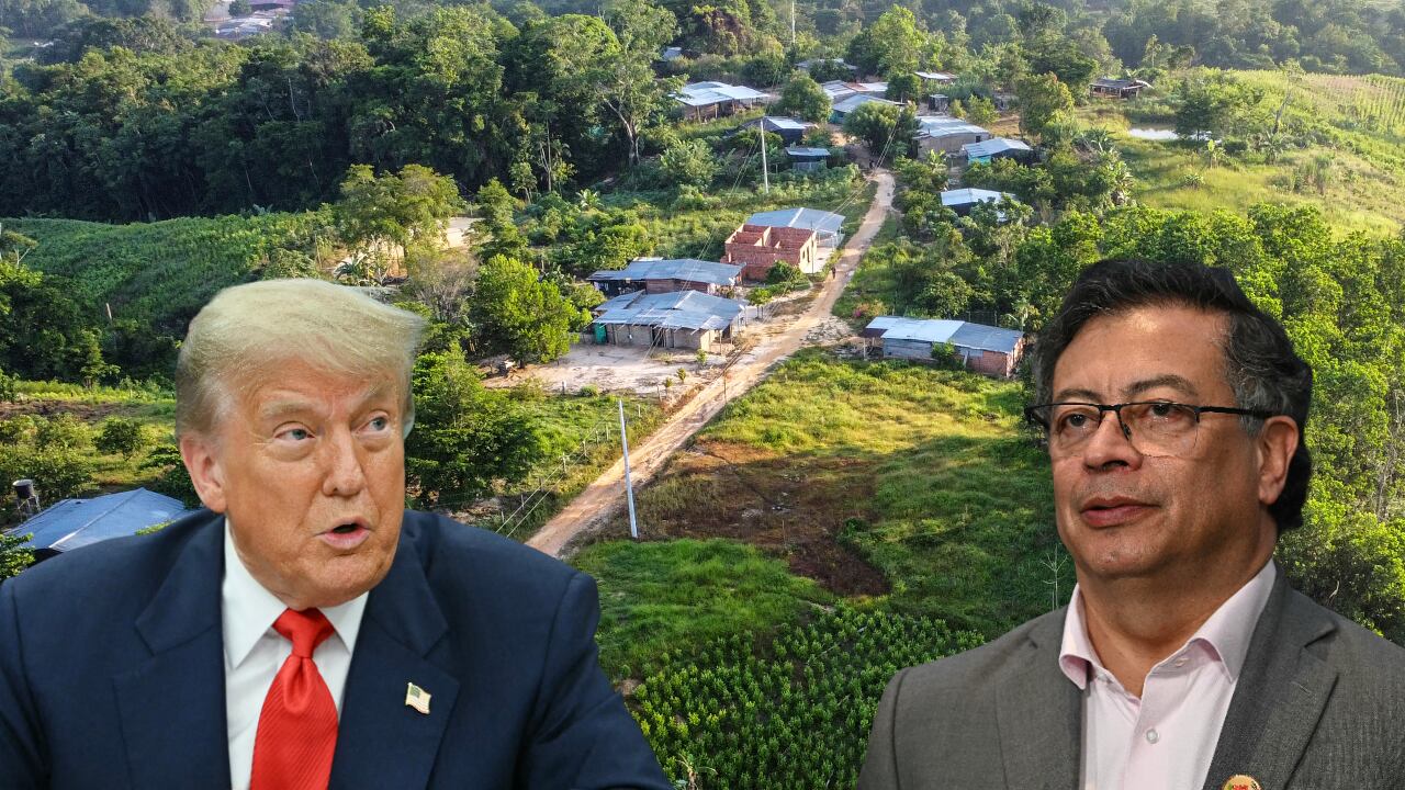 La descertificación de Estados Unidos a Colombia en la lucha contra las drogas generó diversas reacciones.