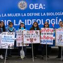 Los manifestantes conservadores en Perú calificaron de atea a la OEA. (Photo by ERNESTO BENAVIDES / AFP)