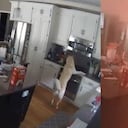 En medio de la búsqueda de comida, el animal activó la estufa, y minutos después se desencadenó la emergencia que obligó a la presencia de los Bomberos.