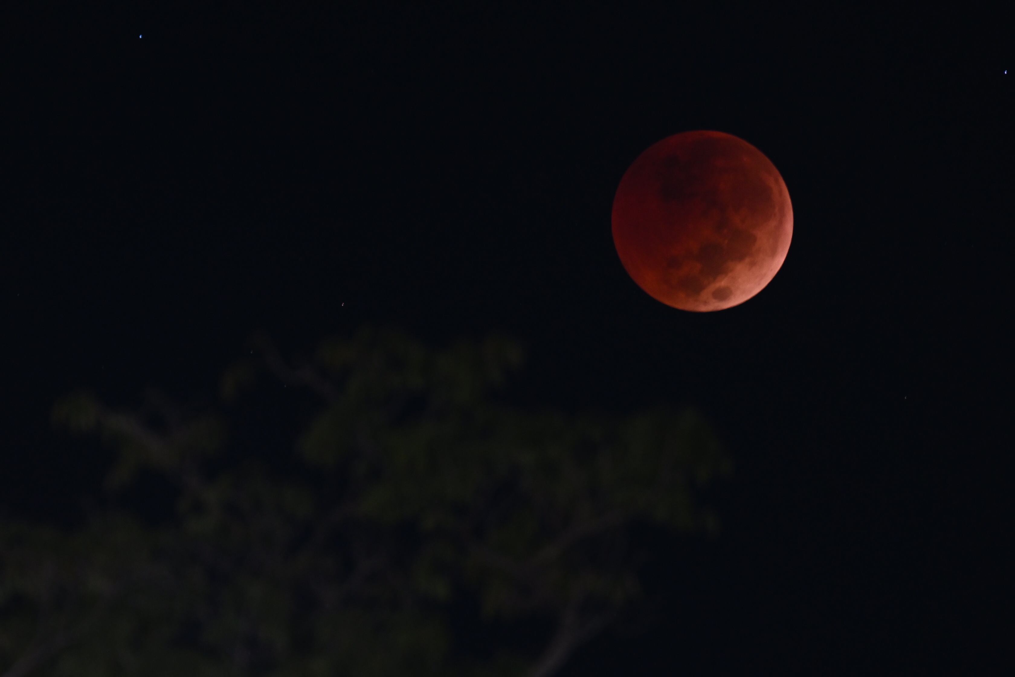 El color rojo no se le atribuye a la Luna, sino a la posición de esta con respecto al Sol y a la Tierra.