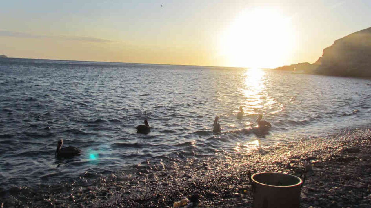 Turismo Colombia: sin turistas el mar salva a Taganga del hambre | Coronavirus