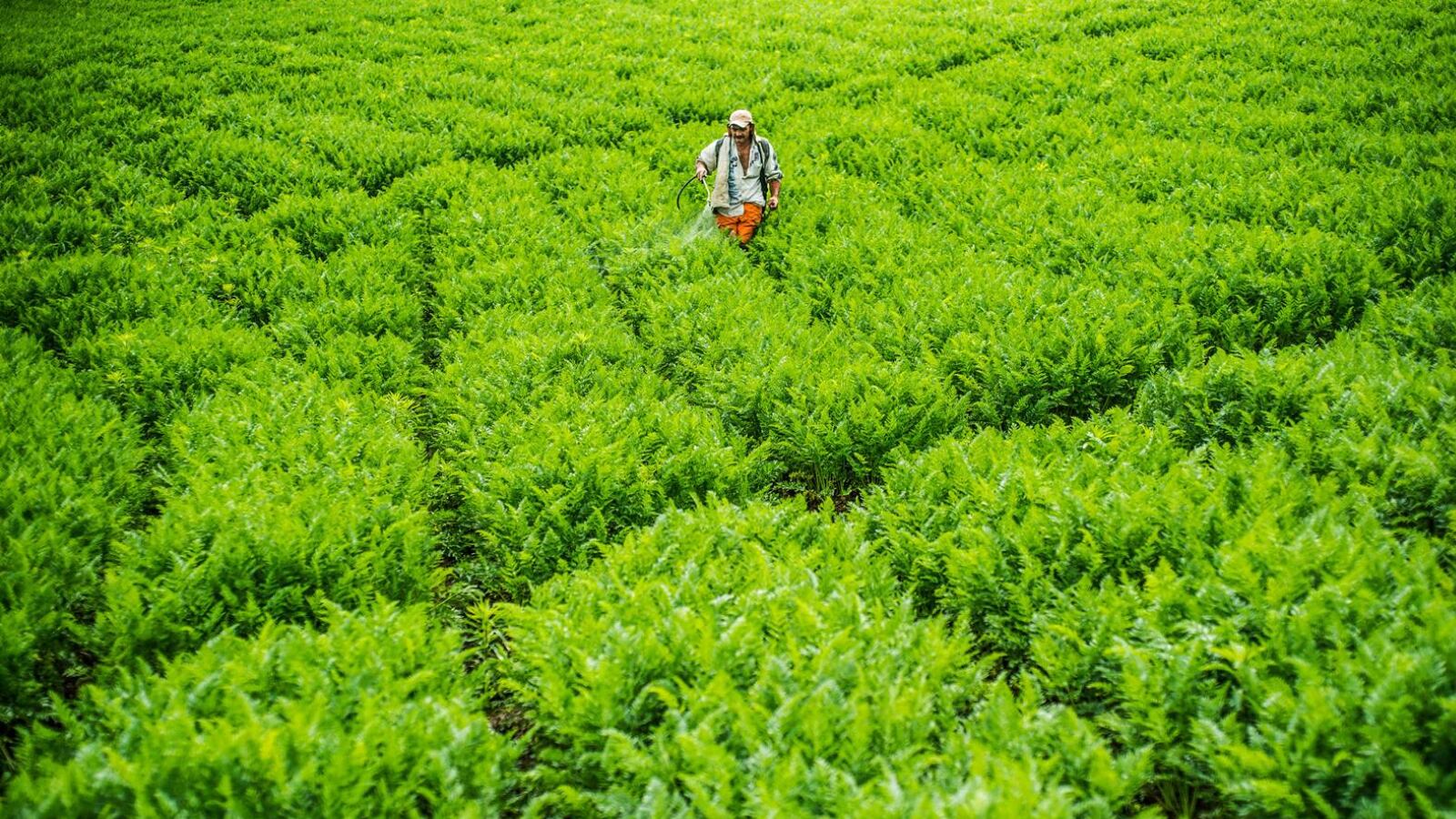 Desde ya el Gobierno está tomado medidas para contrarrestar las afectaciones al agro por la llegada de las sequías a mediados de mayo