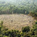 La Amazonía continúa siendo la zona en mayor peligro.