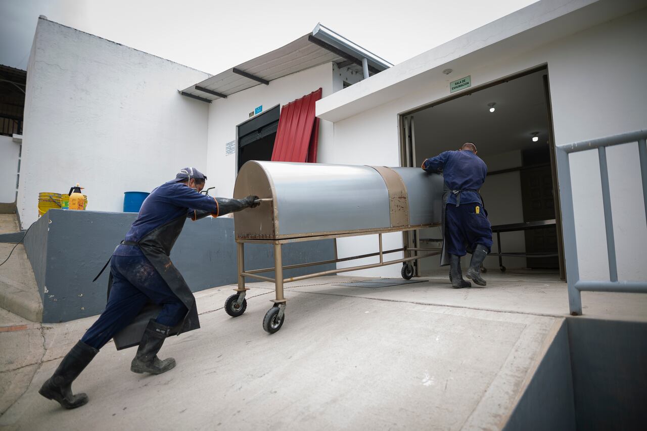 FOTO: ESTEBAN VEGA LA-ROTTA
REVISTA SEMANA