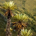 La Uvita, Boyacá