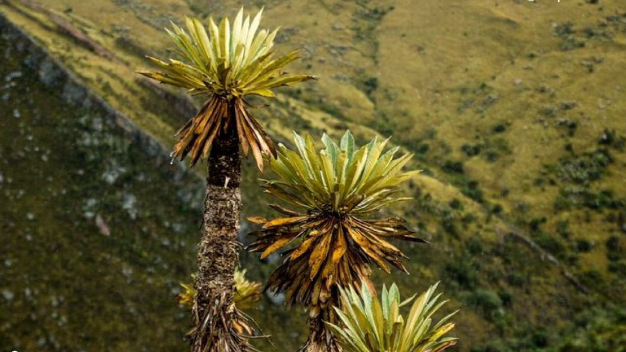 El turismo de naturaleza es una de las actividades para desarrollar en La Uvita, Boyacá.