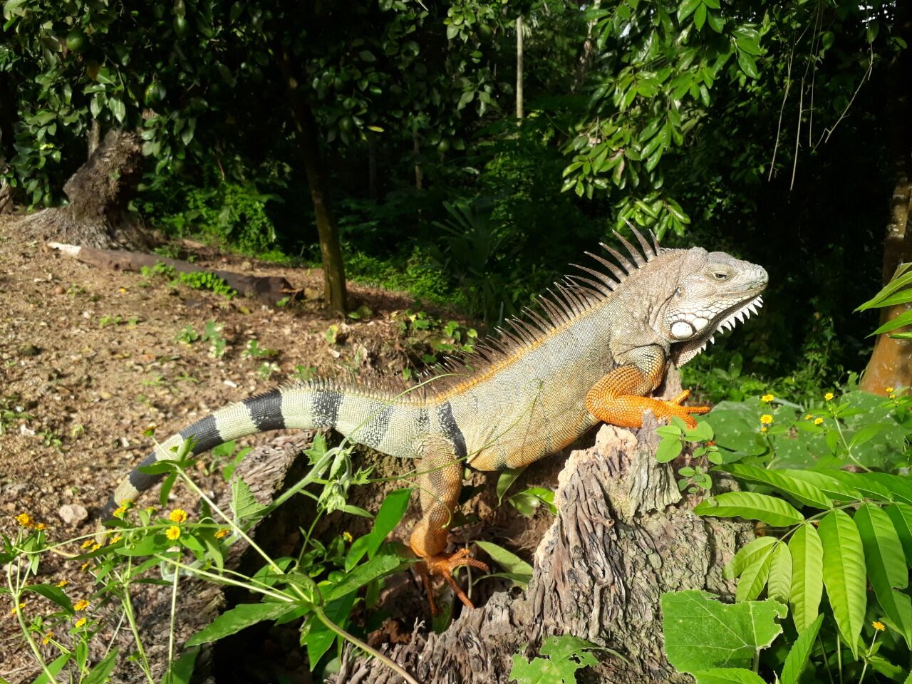 La Reserva Sol y Luna se encuentra en la vereda Cerro de las Mujeres, del corregimiento de San Nicolás de Barí, en el municipio de Santa Cruz de Lorica, a 95 metros sobre el nivel del mar y tiene una extensión de siete hectáreas.