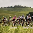 El esloveno Tadej Pogacar, sexto desde la derecha, vistiendo la camiseta rosa del líder general de la carrera, pedalea en el pelotón durante la duodécima etapa de la carrera ciclista Giro de Italia de Martinsicuro a Fano, Italia, el jueves 16 de mayo de 2024. (Marco Alpozzi/LaPresse vía AP)