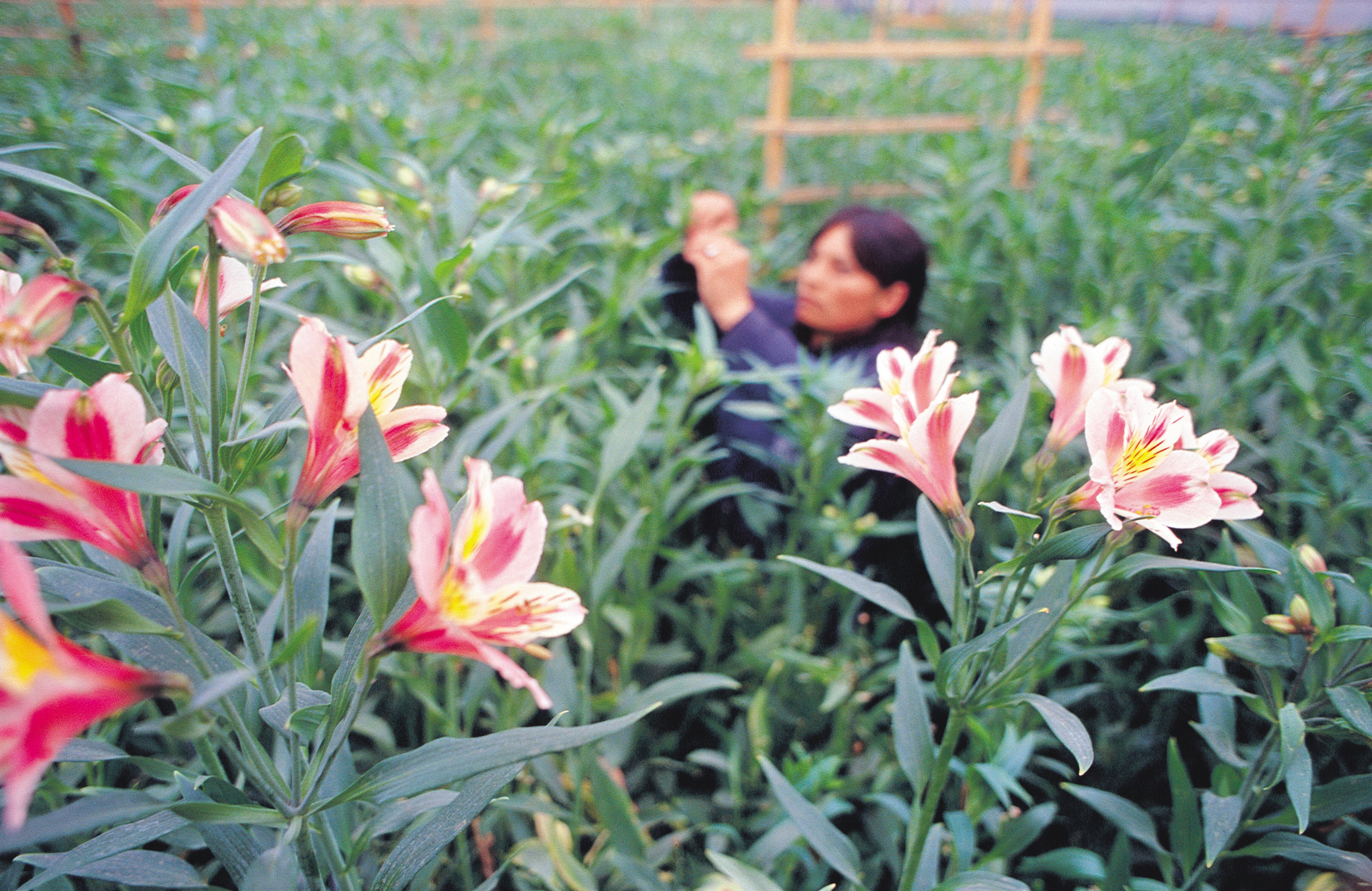 Foro Colombia Rural 2025