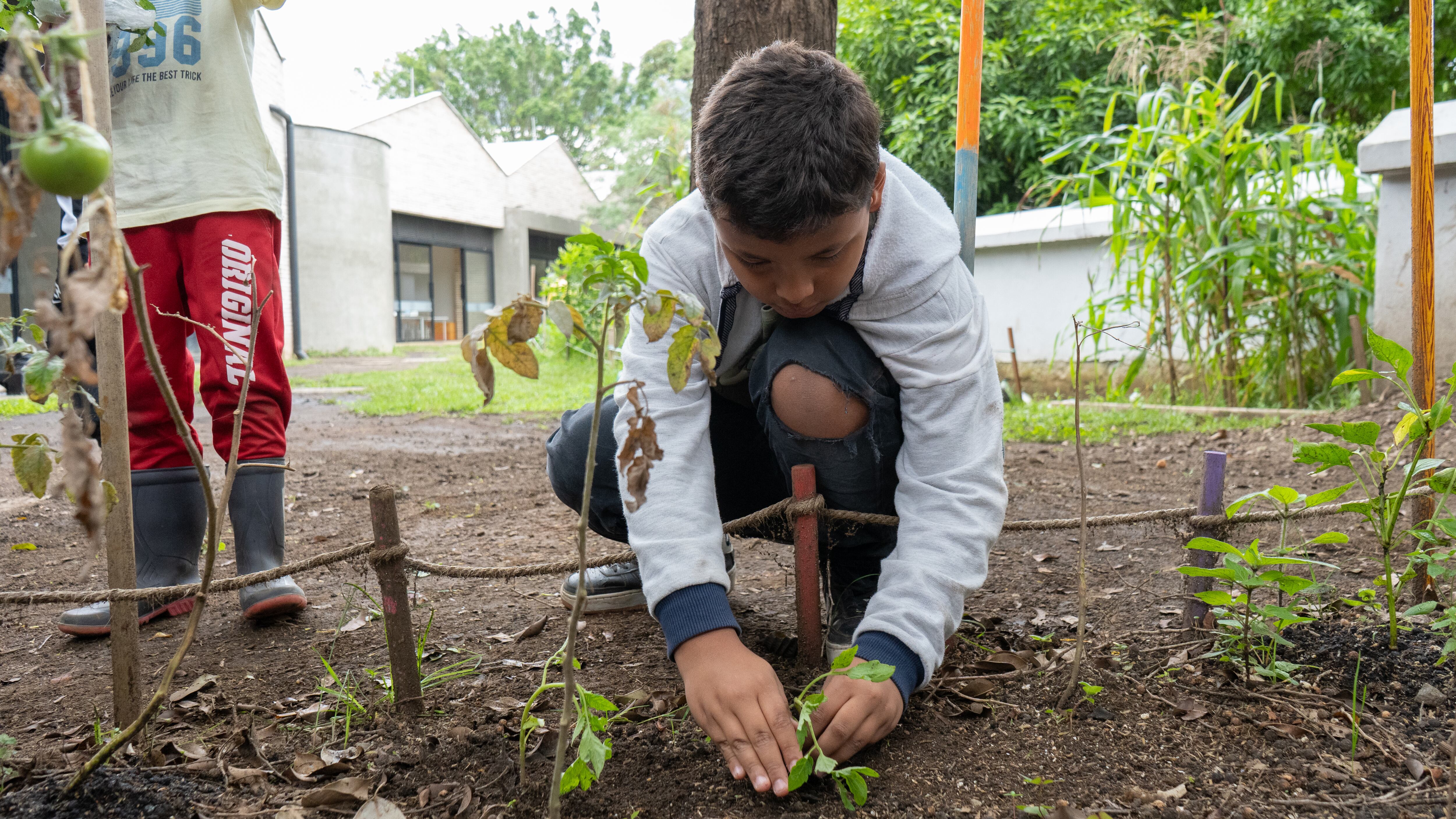 Aplicar un modelo disruptivo fue lo que llevó a esta red de colegios a convertirse en un referente regional, nacional y de Colombia en el exterior.