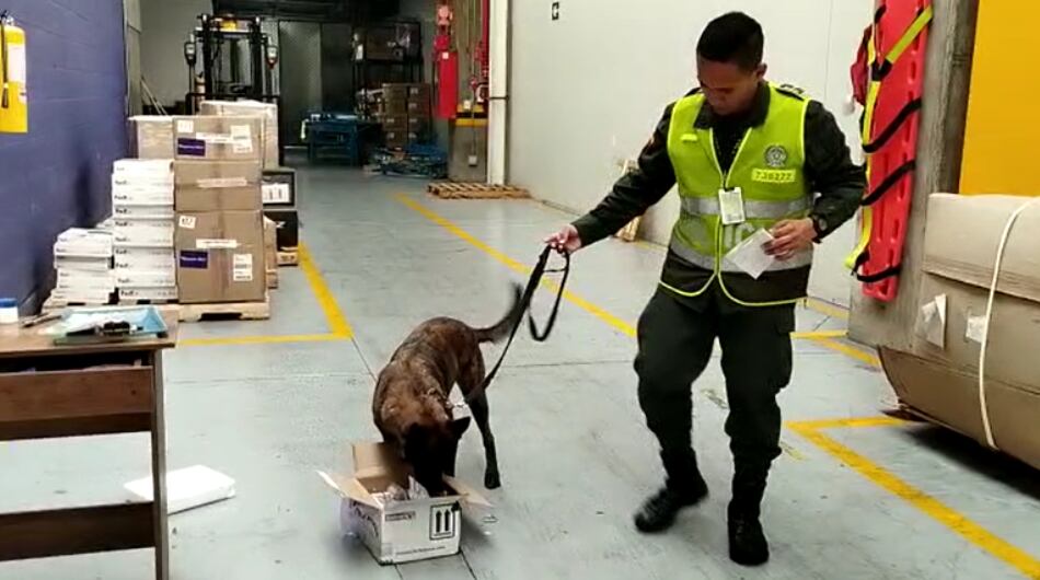 Una mascota frustró el envío de la cocaína.