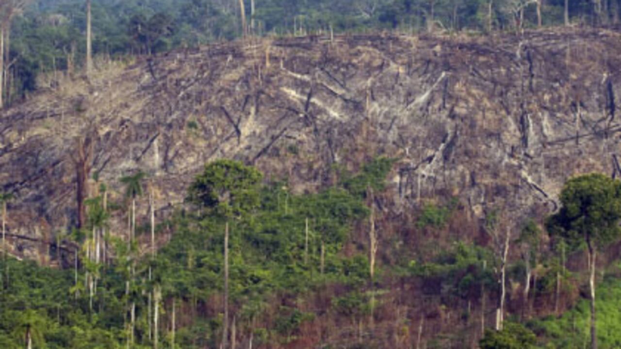 El 70 por ciento de la Amazonia colombiana está protegida por parques naturales y resguardos indígenas. Sin embargo, concesiones mineras y petroleras están siendo otorgadas en su interior. Sin control, son una amenaza, como ha sucedido en Brasil .