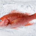 Pescado en la nevera. Imagen de referencia.