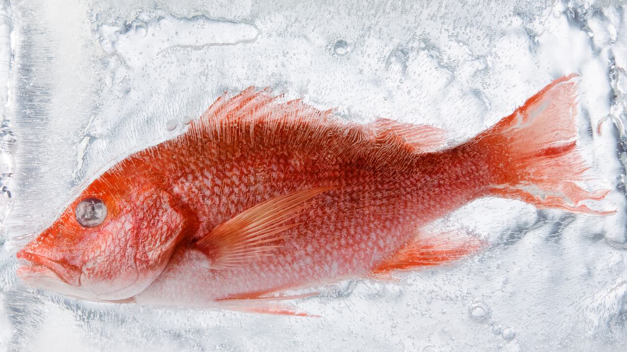 Pescado en la nevera. Imagen de referencia.