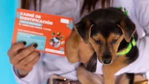 NO USAR, USO EXCLUSIVO MEJOR COLOMBIA, Especial Mejor Colombia, Pereira