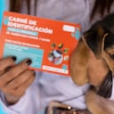 NO USAR, USO EXCLUSIVO MEJOR COLOMBIA, Especial Mejor Colombia, Pereira