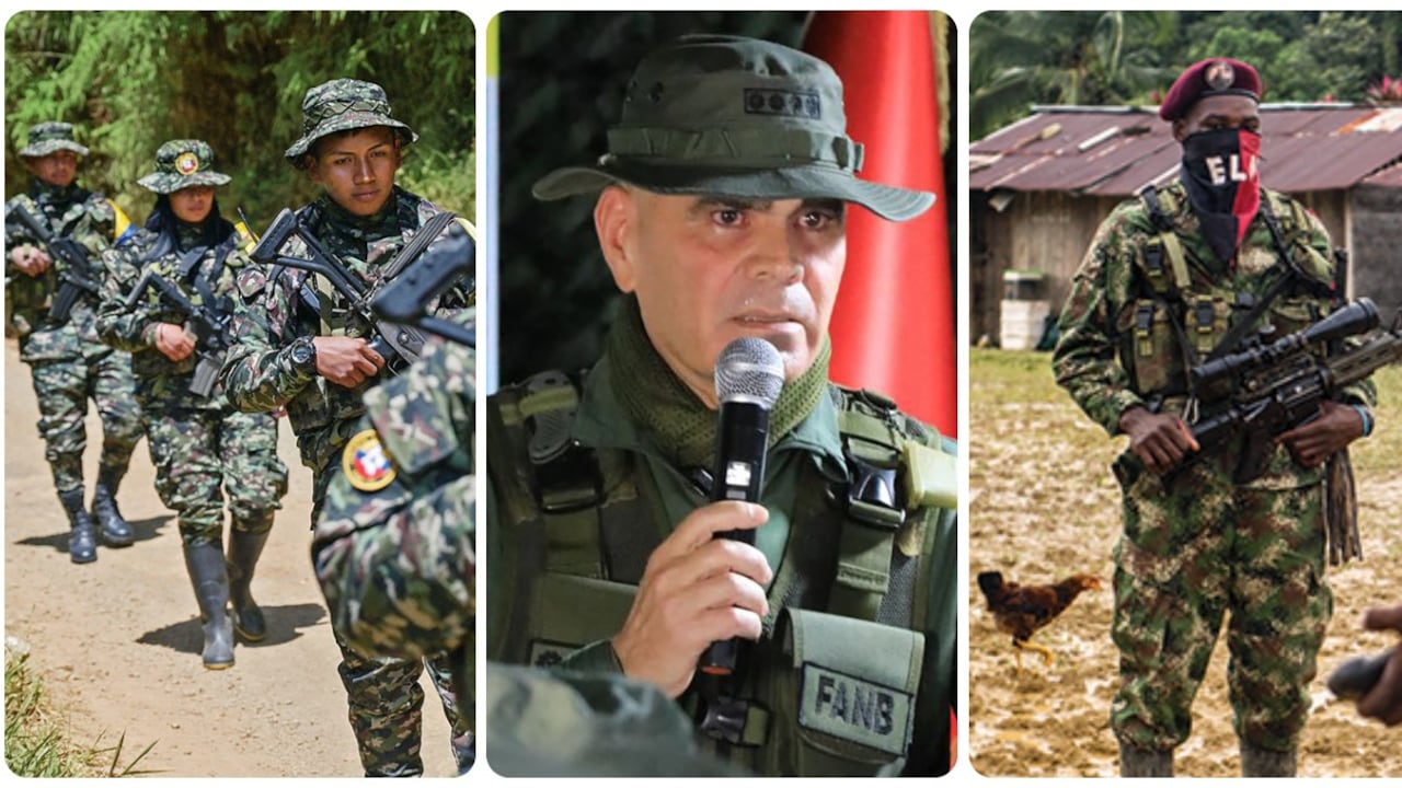 Vladimir Padrino López fue quien hizo el anuncio.