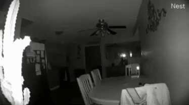 Según las autoridades de Estados Unidos, la intensidad del temblor estuvo en 3,8 en  la escala de Richter