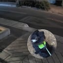 El caso ocurre en medio de las alertas por diferentes modalidades de hurto en la capital.